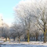 Sneeuwjacht