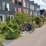 Buurtcirkel