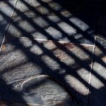 Dodelijke zorg – boek van Bas Haan