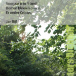 Haiku’s gedichtenkaarten
