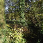 Ecofilosofie