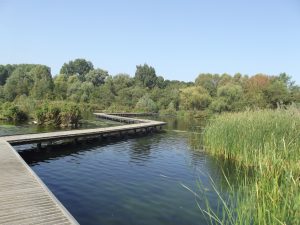 Kralingse Plas