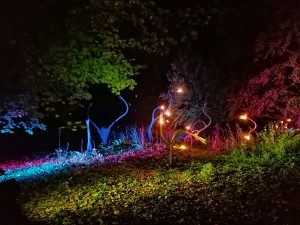 In het bos - door Bianca van Dijk