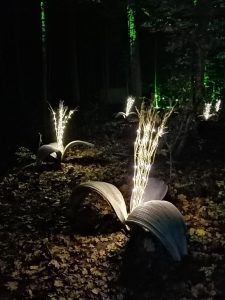 In het bos - Bianca van Dijk